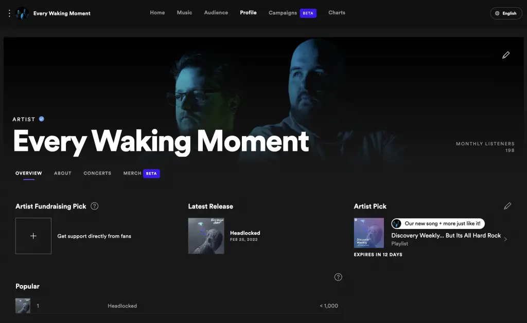 Spotify for Artists Profile window