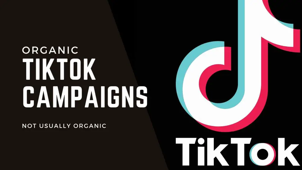 Organic TikTok campaigns